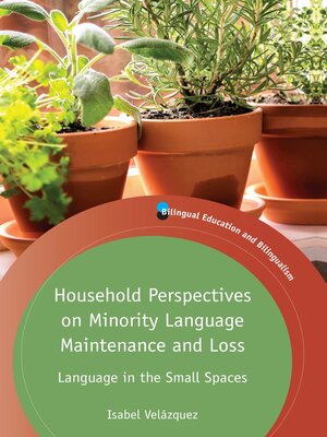 cover image of Household Perspectives on Minority Language Maintenance and Loss